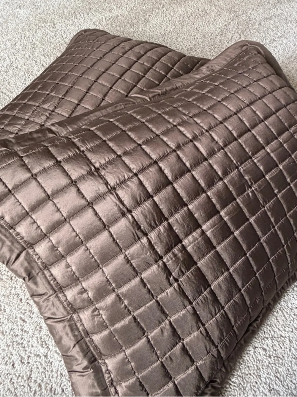 Restoration Hardware 2 100% Silk Quilt Pillow Shams Standard/Queen NWOT